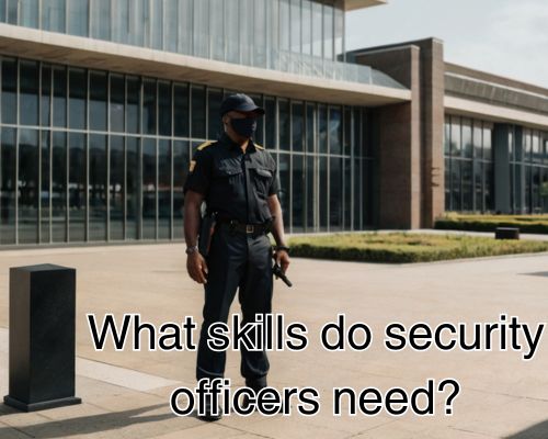 Vigilant officer by entrance.
